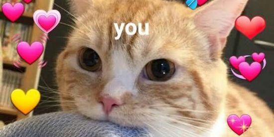 Imagem do grupo de WhatsApp ᅠ❤️ɴᴀᴍᴏʀᴏᅠᴏᴜᅠᴀᴍɪᴢᴀᴅᴇ❤