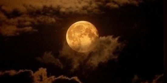 Imagem do grupo de WhatsApp Bruxaria para iniciantes