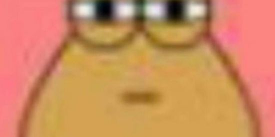 Imagem do grupo de WhatsApp Apenas padrões🤨