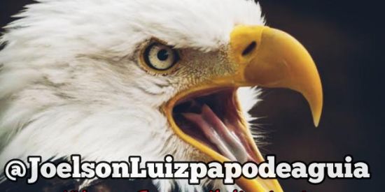 Imagem do grupo de WhatsApp JoelsonLuizpapodeaguia 🦅