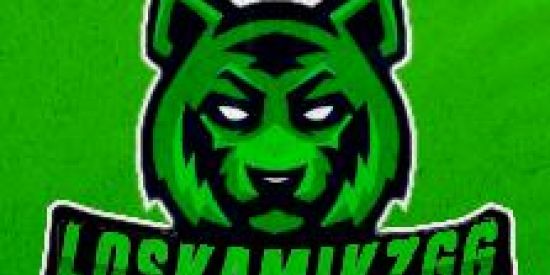Imagem do grupo de WhatsApp Lós Kamik-z GG