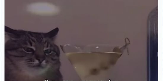 Imagem do grupo de WhatsApp Recrutamento GKS