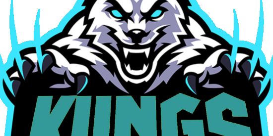 Imagem do grupo de WhatsApp TESTE PARA KINGS