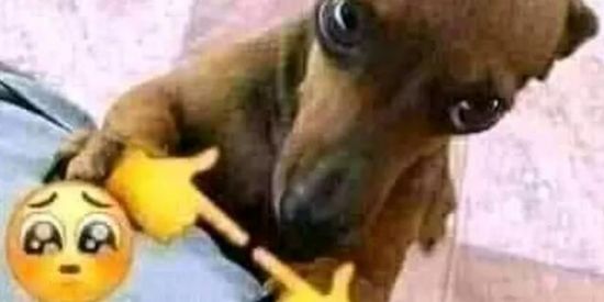 Imagem do grupo de WhatsApp ꧁ঔৣ☬✞ Os sem futuro✞☬ঔৣ꧂