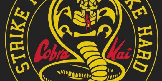 Imagem do grupo de WhatsApp •°C O B R A  🐍   K A I°•