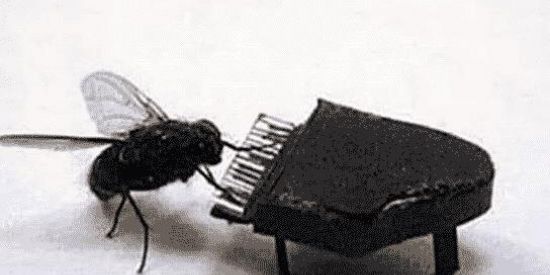 Imagem do grupo de WhatsApp ♕︎best friendss ✌︎♕︎