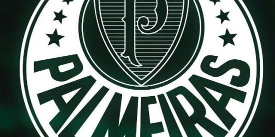 Imagem do grupo de WhatsApp PAMEIRAS EU TI AMO 💚🤍