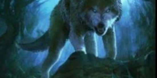 Imagem do grupo de WhatsApp X- TREINO DOS LOBOS