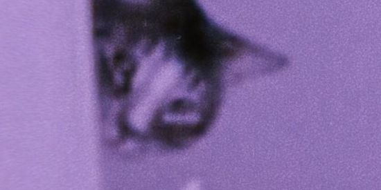 Imagem do grupo de WhatsApp Cadê o Adm?🐸