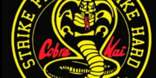 Imagem do grupo de WhatsApp Kobra Kai