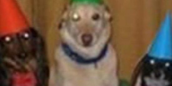 Imagem do grupo de WhatsApp ☪️  Moon Cradle ⚔️