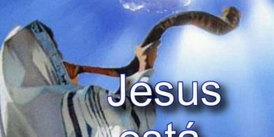 Imagem do grupo de WhatsApp Os adoradores de cristo🙌🏼🙏🏼