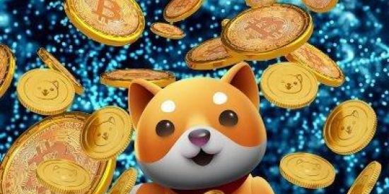 Imagem do grupo de WhatsApp Babydoge e Cryptos🪙🪙