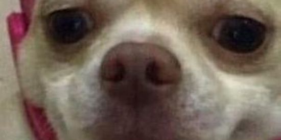 Imagem do grupo de WhatsApp ⚡፝ OS SEM FUTUROE⃟🐊