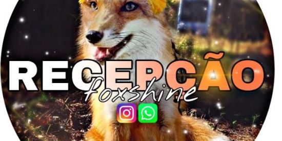 Imagem do grupo de WhatsApp |•🦊•| Recepçαo Foxshine