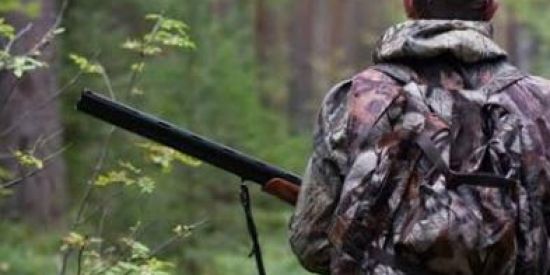 Imagem do grupo de WhatsApp Forjados na Selva