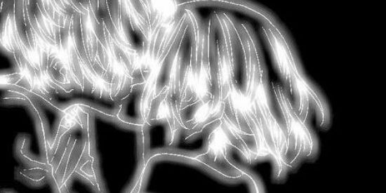 Imagem do grupo de WhatsApp So pros q atnd agr!!!