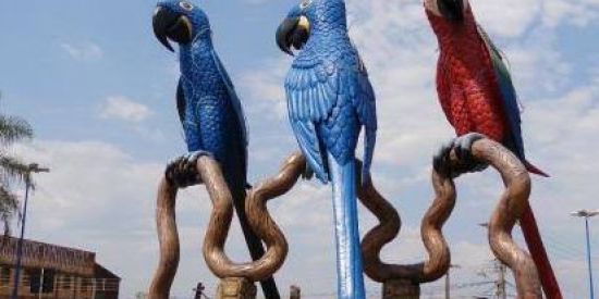 Imagem do grupo de WhatsApp GRUPO 67 DE CG🔥🎭