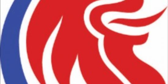 Imagem do grupo de WhatsApp Perícia Judicial