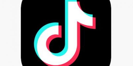 Imagem do grupo de WhatsApp Ganhe seguidores no ttk