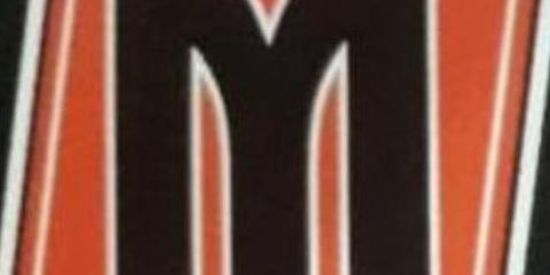 Imagem do grupo de WhatsApp TRANSP MENDES - FRETES 🚚🛣️