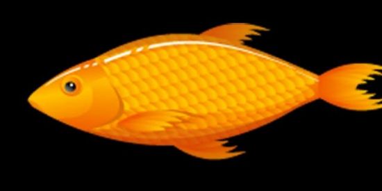 Imagem do grupo de WhatsApp Ditadura 1969 🍆