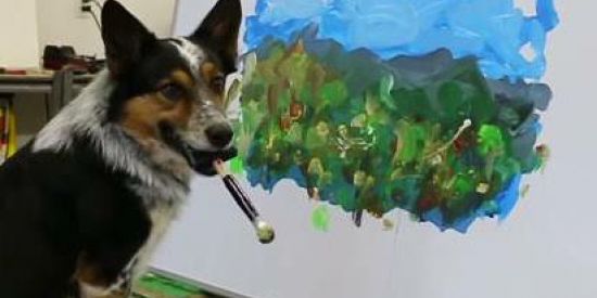 Imagem do grupo de WhatsApp 🎨Arte e marsupiais🐨