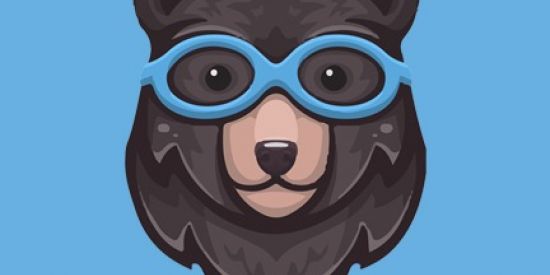 Imagem do grupo de WhatsApp URSO Bets 🏀