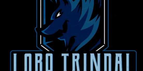 Imagem do grupo de WhatsApp LOBO-TRINDAL TESTES 🐺