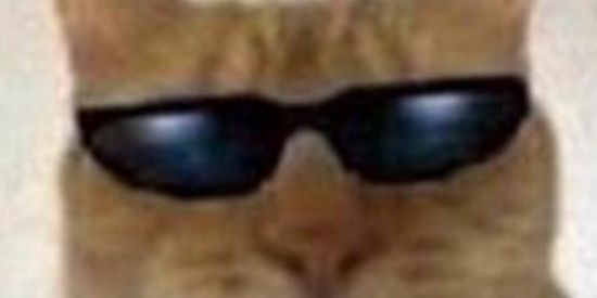 Imagem do grupo de WhatsApp FAMILIA_DOS_MEMES