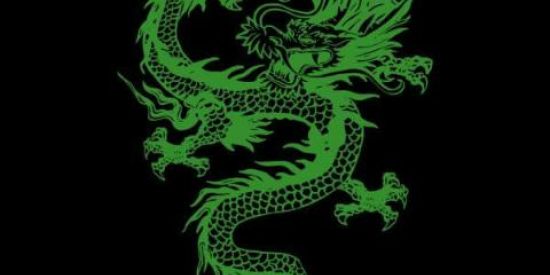 Imagem do grupo de WhatsApp ༺🐉Views no status🐉༻