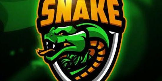 Imagem do grupo de WhatsApp RECRUTAMENTO SNAKE SPORT