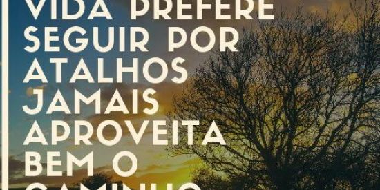 Imagem do grupo de WhatsApp Cara metade Ceará