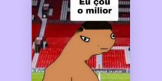 Imagem do grupo de WhatsApp eu sou o milhor 😎