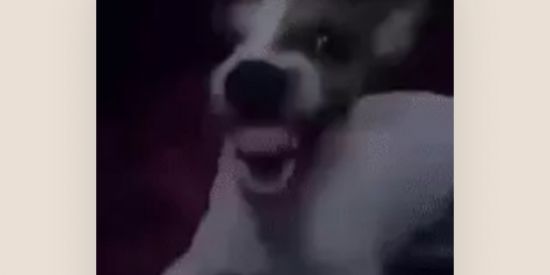 Imagem do grupo de WhatsApp 🔥ꪶ IRMANDADE ꫂ🔥