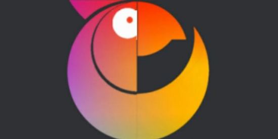 Imagem do grupo de WhatsApp Povoamento do novo site