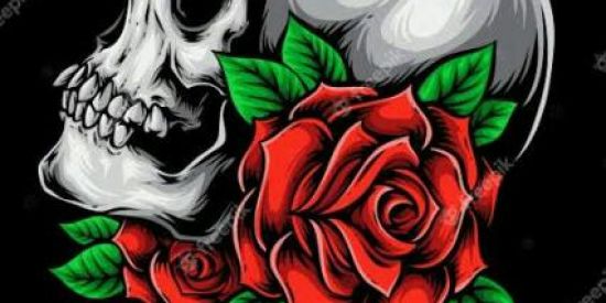 Imagem do grupo de WhatsApp Videos 🔥