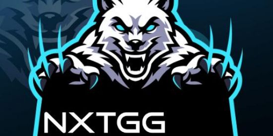 Imagem do grupo de WhatsApp NXT ESPORTE