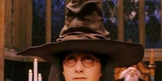 Imagem do grupo de WhatsApp Chapéu Seletor✨