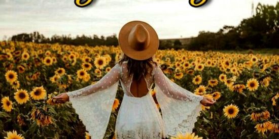 Imagem do grupo de WhatsApp 🌻triagem ♚•anj•♚ 🌻