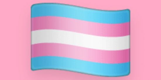 Imagem do grupo de WhatsApp Amor trans