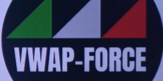 Imagem do grupo de WhatsApp Indicador VWAP-FORCE...💵