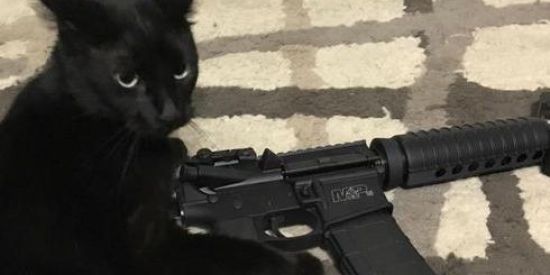 Imagem do grupo de WhatsApp amizades/namoro/desabafos