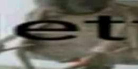 Imagem do grupo de WhatsApp Bonde do Netto