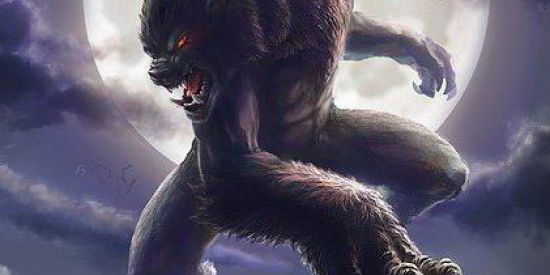 Imagem do grupo de WhatsApp Território Obscuro OFC