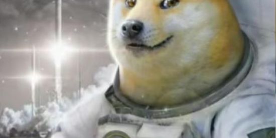 Imagem do grupo de WhatsApp Zap Zap 2