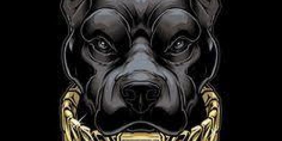 Imagem do grupo de WhatsApp Pit Bull Em Geral 🐶❤️🥰