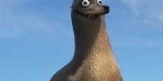 Imagem do grupo de WhatsApp Os cleitin do grau