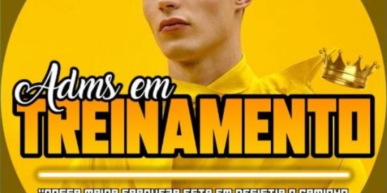 Imagem do grupo de WhatsApp 🌻TREINAMENTO ADM 🌻