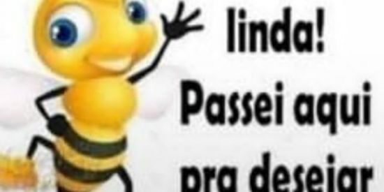 Imagem do grupo de WhatsApp Hatsuki nomico 🇦🇴🐊